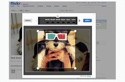 Flickr estrenará Aviary, el nuevo editor de fotografías