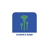 Copeland™ compressor electroni icon