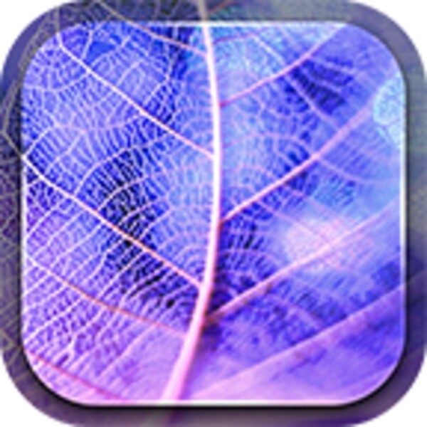 Neon Leaves Live Wallpaper for Android - Download the APK from Uptodown