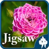 Flower Jigsaw Puzzles icon