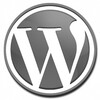 Icon von WordPress Stats Plugin