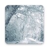 Snowfalling Live Wallpapers icon