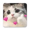 Icono de Stickers Cats
