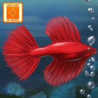 Download Fish Tycoon Free