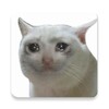 Icono de Cats Memes