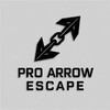 Pro Arrow Escape simgesi