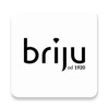 Икона Briju