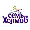 Семь Холмов icon