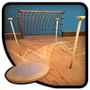 Icono de WoodBall