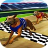 Wild Greyhound Dog Racing icon