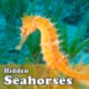 Hidden Seahorses icon