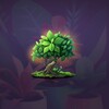 Grow Your Forest icon