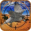 Birds Hunter In Desert icon