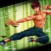 Kung Fu Attack Final icon