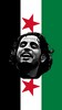 syria flag wallpapers icon