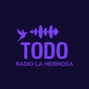 TodoRadio 아이콘