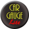Car Gauge Lite OBD2 icon