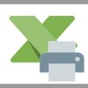 Excel print multiple excel documents at once with worksheet customization Software! icon