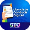 Licencia Conducir GTO icon