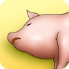 أيقونة Happy Oink