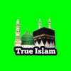 True Islam - Quran, Hadees and Aqaid icon