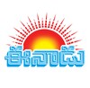 Eenadu icon