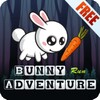 Bunny Run Adventure icon