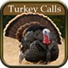 Turkey Hunting Calls icon