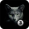 Trouver le chat 3 icon