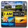 Nikon Art icon