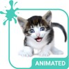 Meow Animated Keyboard + Live Wallpaper 图标