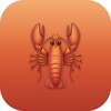 ไอคอน OpenClawTool