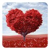 Love Tree Live Wallpaper icon