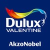 Dulux Valentine icon