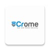 Crome icon