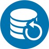 Icon von Perfect Backup