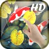 Koi Fish Live Wallpaper 3D icon