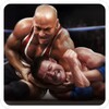 Real Wrestling 3D icon