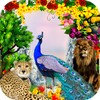 Peacock Photo Frames icon