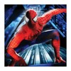 Spidey Bway icon