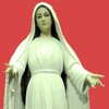 Gospel According to Mary icon