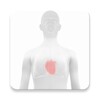 Icona di Withings Health Mate