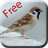 أيقونة Bird Sounds & Ringtones