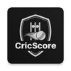 CricScore icon