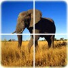 ไอคอน Animal Puzzle
