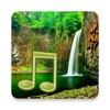 أيقونة JungleSound