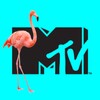 MTV Music Master icon