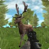 Hunter Animals In The Forest icon