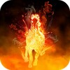 Fire Horse 3D Video Wallpaper icon