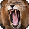 Lion Sounds icon